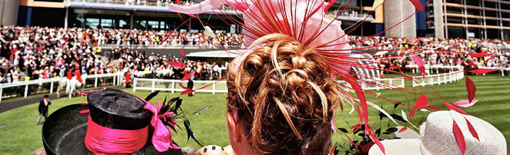 Events & Hospitality